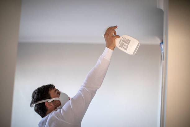 Best Affordable Mold Removal  in Farmersville, CA