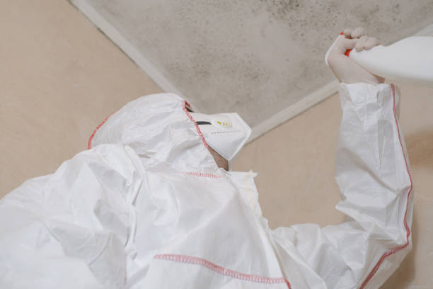 Certified Mold Removal in Farmersville, CA