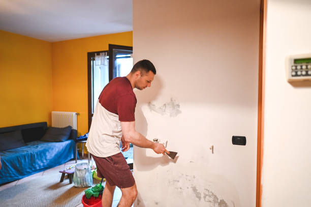 Best Residential Mold Removal  in Farmersville, CA