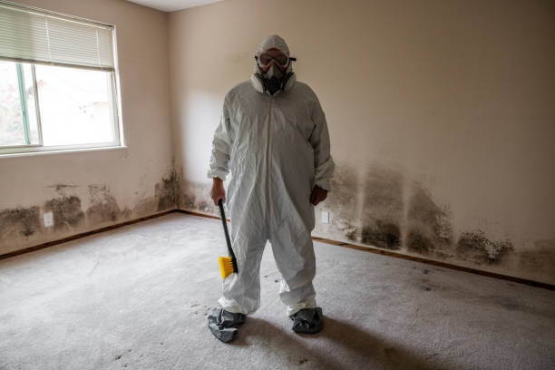 Best Mold Testing  in Farmersville, CA